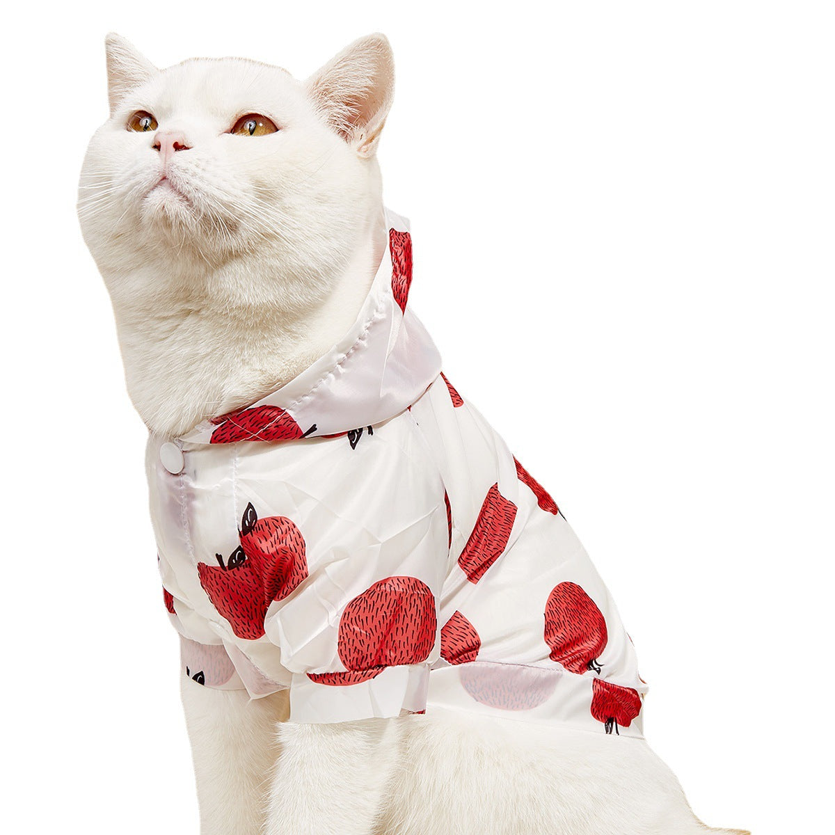 Summer Cat Hoodie Shirt β Lightweight Fruit Print, Breathable UV Protection Pet Clothing