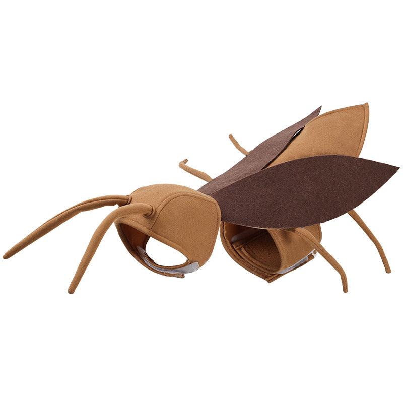 Funny Cat Cockroach Costume – Cute Outfit