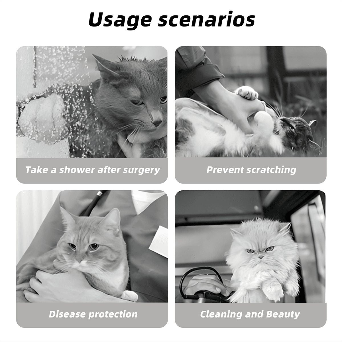 Ivy - Soft Cat Elizabethan Collar – Recovery & Grooming Protection