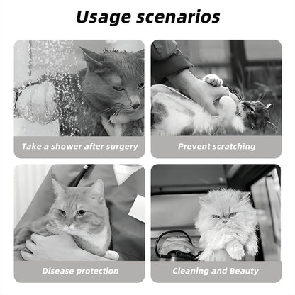 Ivy - Soft Cat Elizabethan Collar – Recovery & Grooming Protection