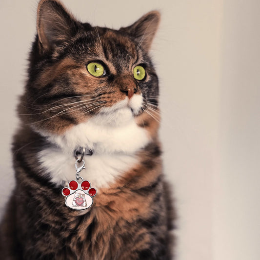 Milo - Cute Paw Jewelry Charm for Cat Collars