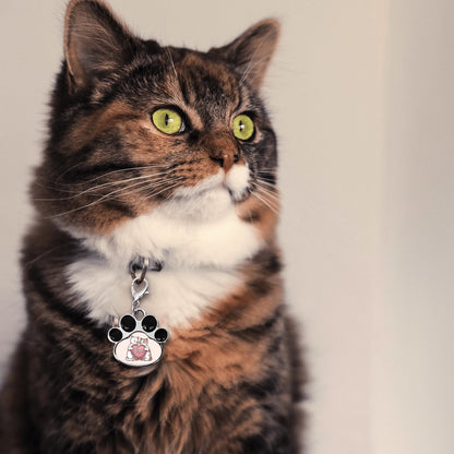 Milo - Cute Paw Jewelry Charm for Cat Collars