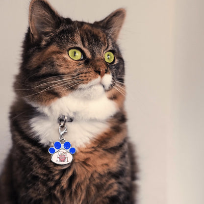 Milo - Cute Paw Jewelry Charm for Cat Collars