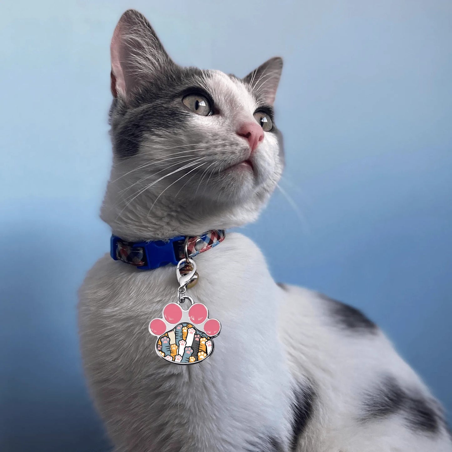 Milo - Cute Paw Jewelry Charm for Cat Collars