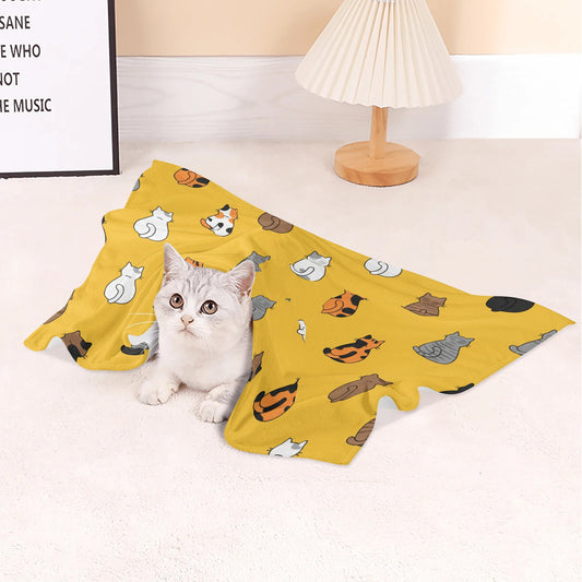 filename-1763836309-3-SHzmmXYJgg