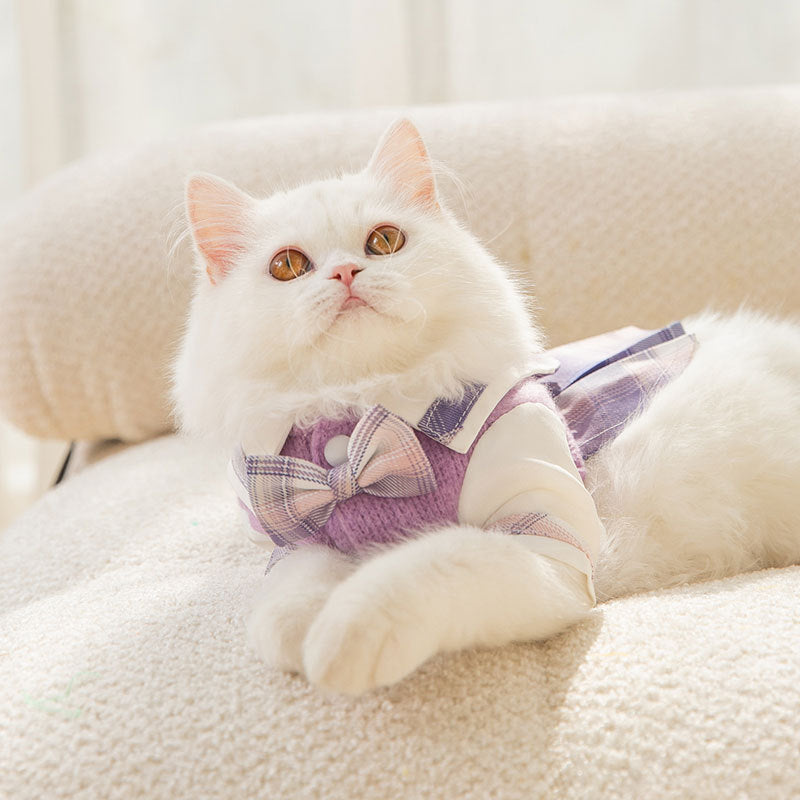 Autumn Winter Cat Dress – Cute Rabbit Lapel JK Style Warm Outfit for Small to Medium Cats