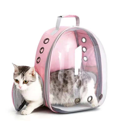 Cat Carrier Backpack with Clear Front – Hard Shell Travel Bag