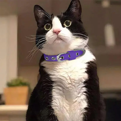 Cody- Soft Cat Collar