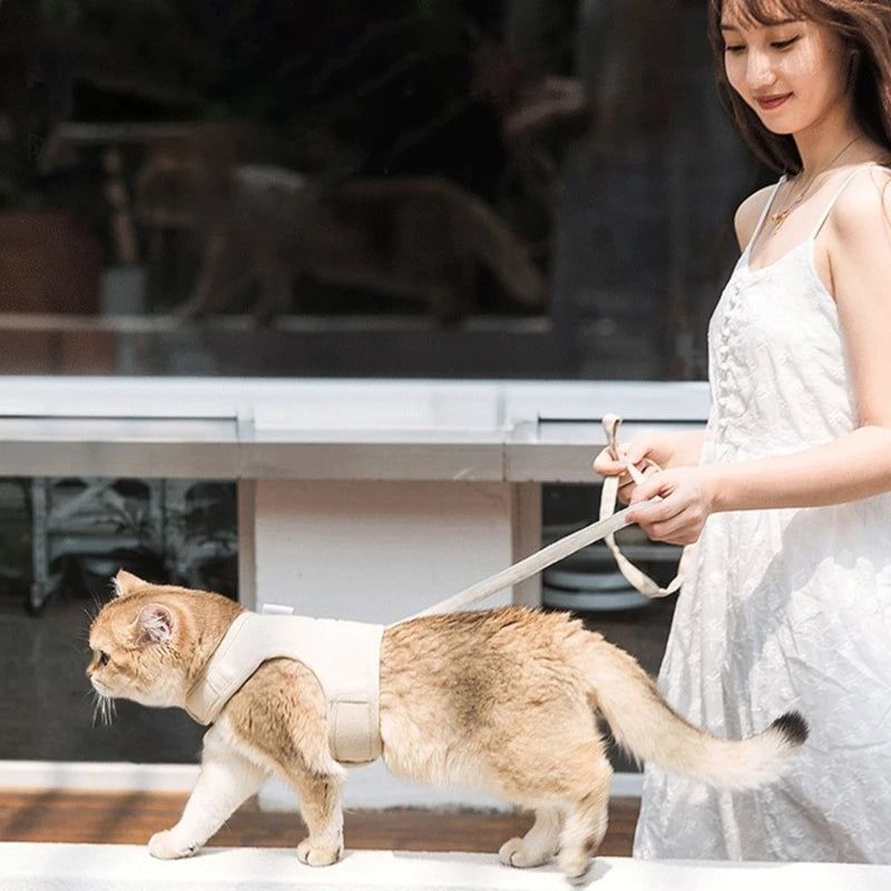 Adjustable Canvas Cat Harness with Leash – Breathable & Secure for Outdoor Walks