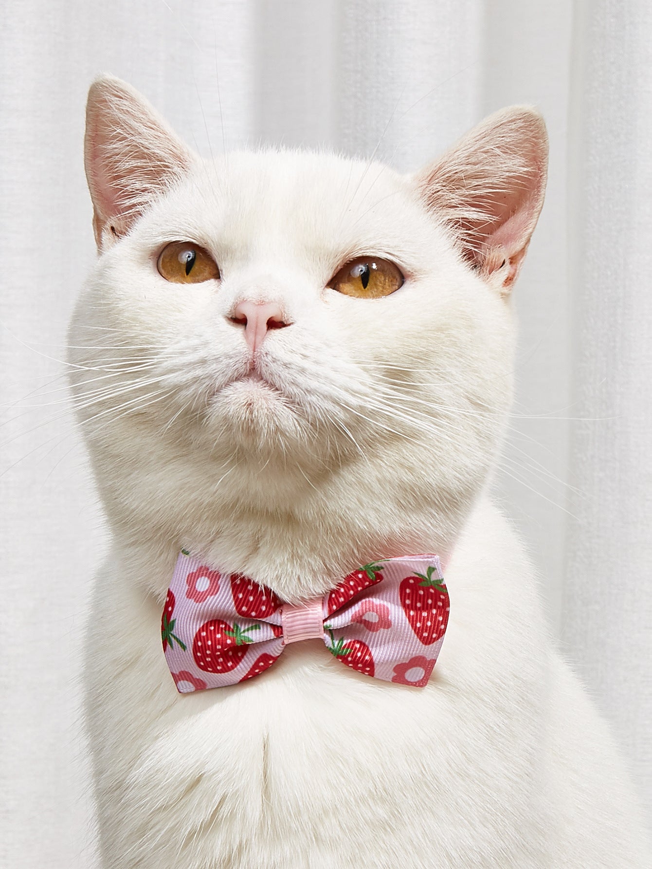 Colorful Cartoon Cat Bow Tie – Stylish & Adjustable Pet Accessory