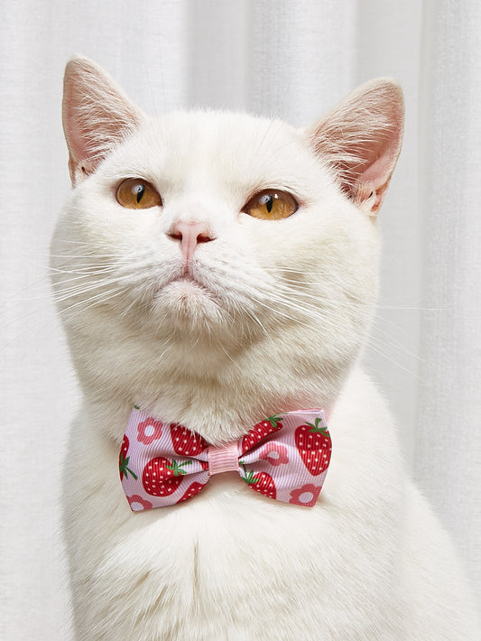 Colorful Cartoon Cat Bow Tie – Stylish & Adjustable Pet Accessory