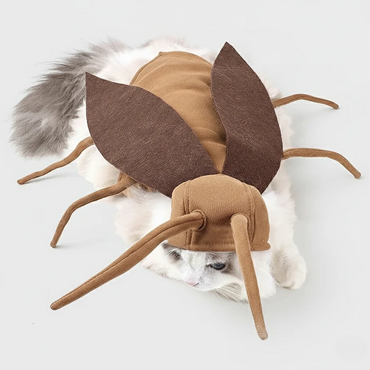 Funny Cat Cockroach Costume – Cute Outfit