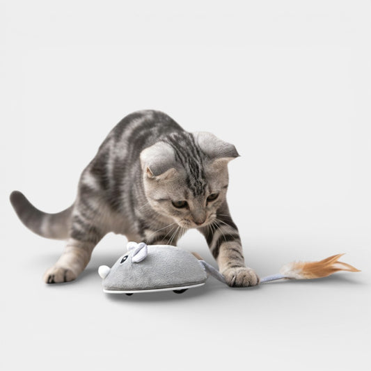 Electric Mouse Cat Toy – USB Rechargeable