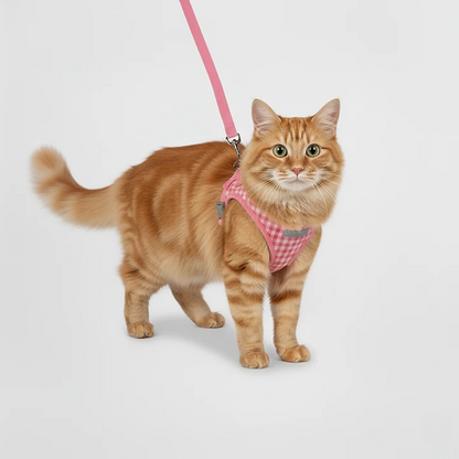 Plaid Reflective Cat Harness Set – Breathable & Stylish Cat Suit with Leash