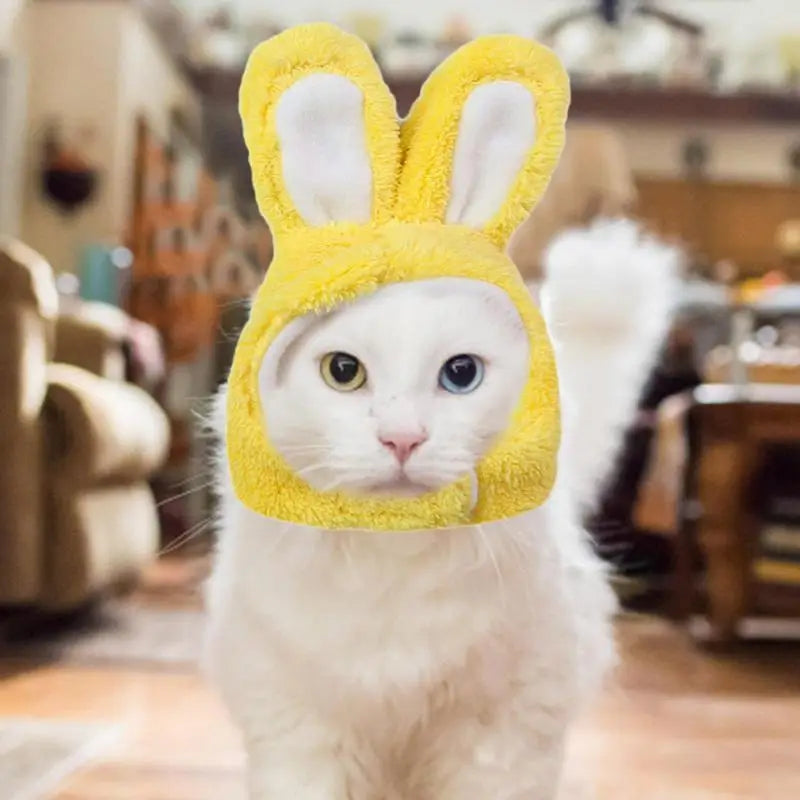 Cat Bunny Ears Costume – Cute Easter & Party Headwear for Cats