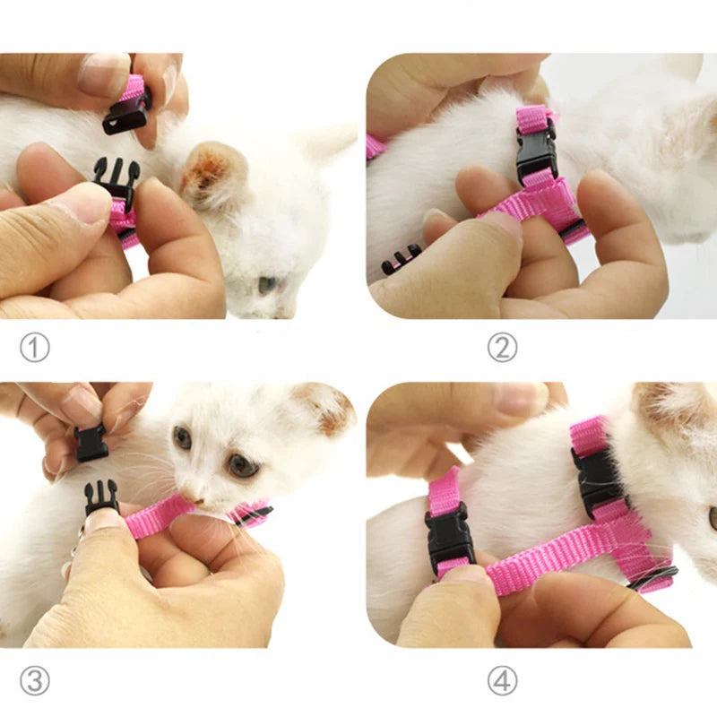 Angel Wings Cat Harness & Leash Set – Cute, Comfortable & Safe for Cats