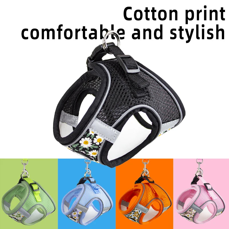 Adjustable Cat Harness & Leash – Safe, Comfortable & Escape-Proof
