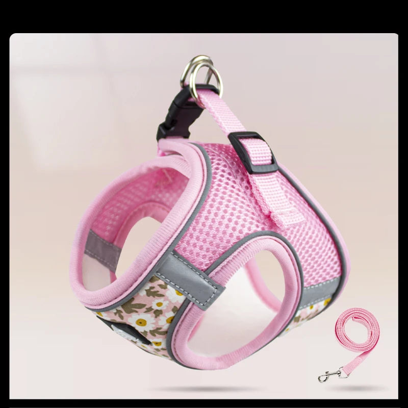 Adjustable Cat Harness & Leash – Safe, Comfortable & Escape-Proof