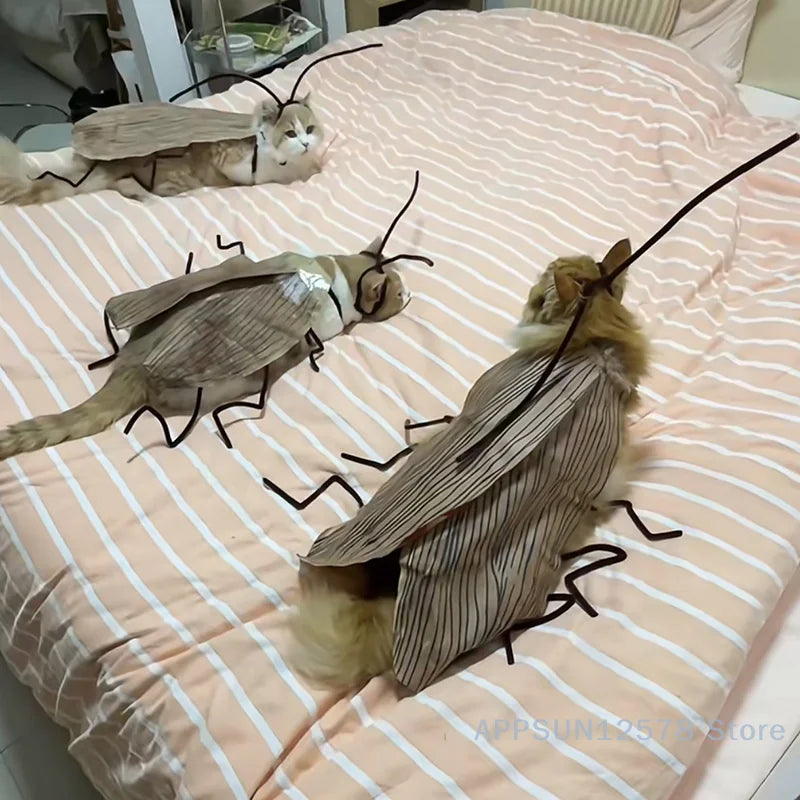 Cockroach Costume for Cats – Fun Party Dress-Up