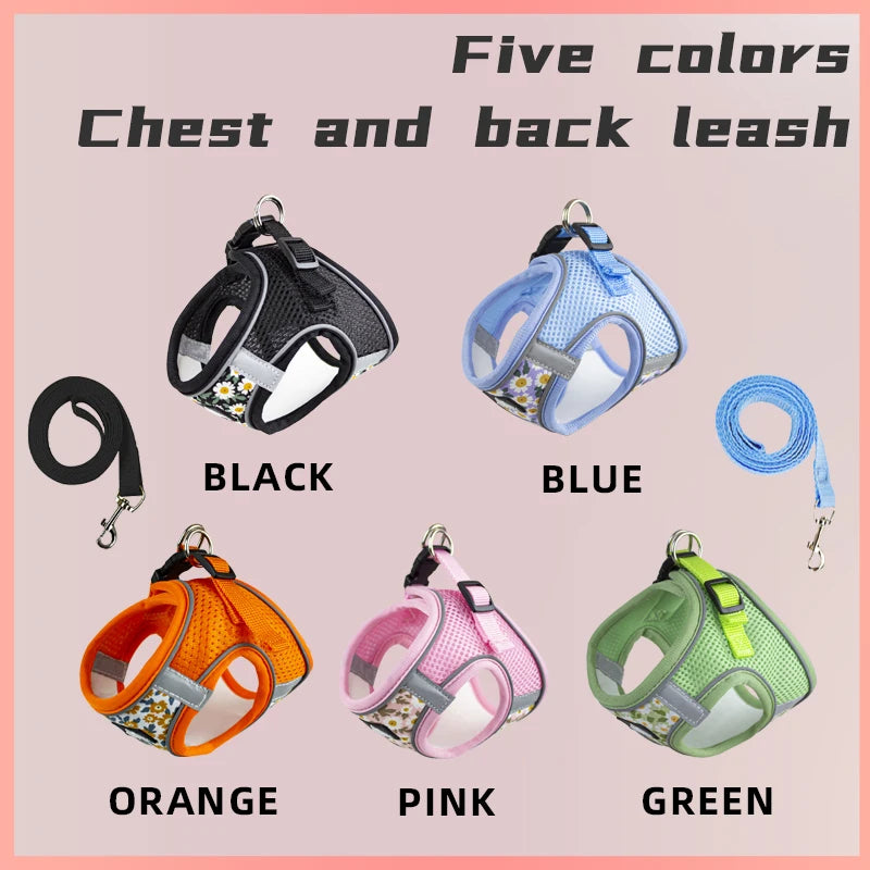 Adjustable Cat Harness & Leash – Safe, Comfortable & Escape-Proof