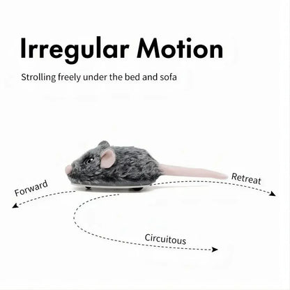 Interactive Rechargeable Motion Mouse Cat Toy
