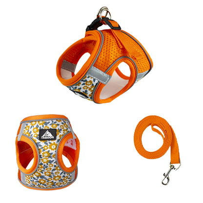 Adjustable Cat Harness & Leash – Safe, Comfortable & Escape-Proof