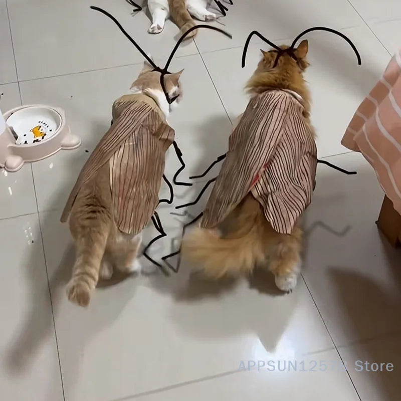 Cockroach Costume for Cats – Fun Party Dress-Up
