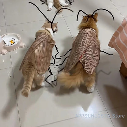Cockroach Costume for Cats – Fun Party Dress-Up