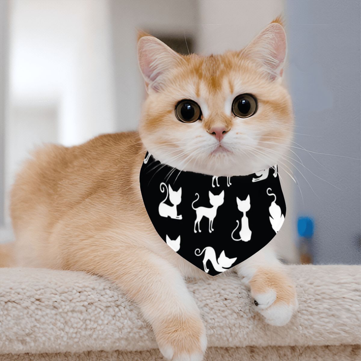Ginger - Cotton Cat Bandana – Soft, Stylish & Adjustable