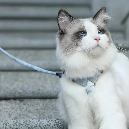 Escape-Proof Cat Harness & Leash Set