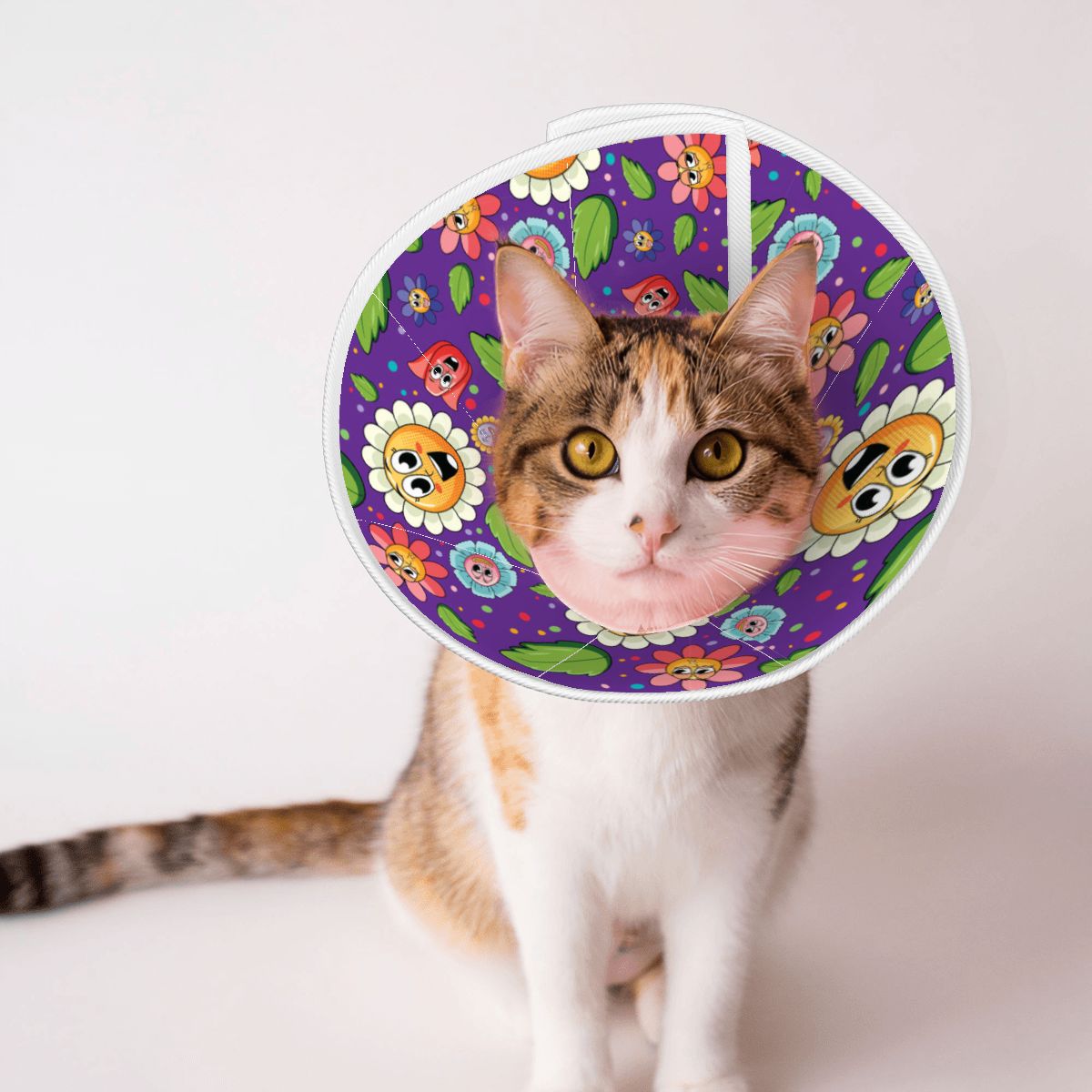 Ivy - Soft Cat Elizabethan Collar – Recovery & Grooming Protection
