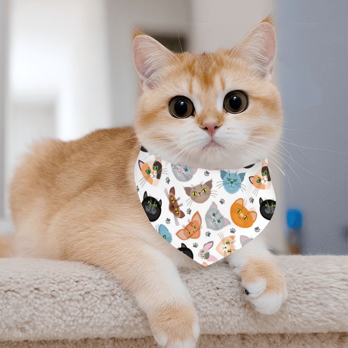 Honey - Cotton Cat Bandana – Soft, Stylish & Adjustable