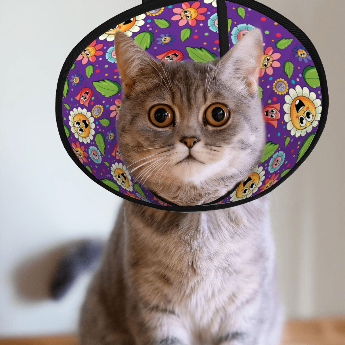 Ivy - Soft Cat Elizabethan Collar – Recovery & Grooming Protection