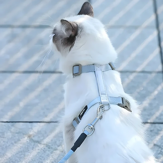 Escape-Proof Cat Harness & Leash Set